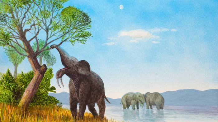 Illustration: B. Kammermeier (Ausschnitt)