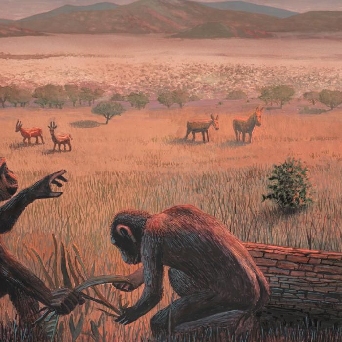 Illustration: B. Kammermeier (Ausschnitt)